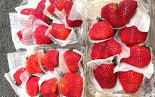 Dâu tây Mộc Châu đắt như tôm tươi tại TP.HCM