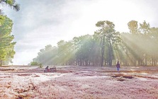 Sau nhiều năm chờ đợi, tin vui đã đến với dự án sân golf nghìn tỷ của Tập đoàn FLC tại Dak Đoa, Gia Lai