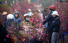 Tin mới nhất về thời tiết Tết Nguyên đán 2026: Nguy cơ mưa lớn kèm rét đậm, rét hại?