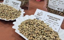 Giá cà phê hôm nay 16-1: Tăng 4 phiên liên tục, Robusta vượt mốc 4.000 USD/tấn