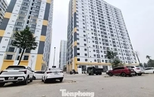 Bắc Ninh công bố bán nhà ở xã hội tại 3 dự án, giá từ hơn 12 triệu đồng/m²