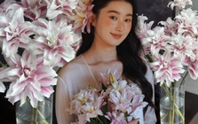 Cắm bình hoa bách hợp Isabella "đẹp như tranh" ngày Tết: Bí kíp dưỡng hoa nở đều, tươi lâu cả tháng chỉ nhờ thứ này