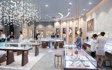 Cổ phiếu của “đại gia” bán lẻ vàng, bạc, trang sức lớn nhất sàn tăng “bốc đầu” vượt đỉnh