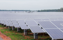 Xử phạt loạt doanh nghiệp liên quan đến WTO