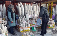 Không phải dầu thô hay khí đốt, một mặt hàng của Nga được người châu Âu cực mê: Chi hơn 700 triệu euro mua hàng, giá cao nhất trong nhiều năm