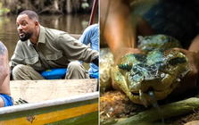 Will Smith chạm trán nghẹt thở với loài rắn khổng lồ mới ở Amazon: Dài tới 5m, cơ thể dày ngang thân cây