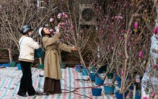 Dự báo thời tiết dịp nghỉ Tết Nguyên đán Bính Ngọ 2026