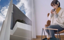 Tình hình biệt thự "tiền tỷ" của Tóc Tiên tại Đà Lạt