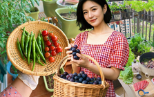 Tôi bắt đầu trồng rau tại nhà vì nghĩ cho vui, 3 tháng sau nhận ra mình đã tiết kiệm được một khoản không nhỏ