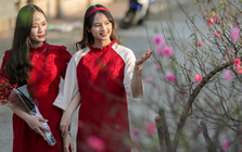 Ít người biết vì sao tháng Chạp gọi là tháng củ mật