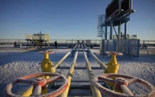 Bất chấp lệnh trừng phạt, hai quốc gia châu Âu bắt tay xây đường ống 100km xuyên biên giới để nhận dầu Nga, công suất 5,5 triệu tấn mỗi năm