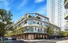 'Hệ sinh thái' Bcons Group của doanh nhân Lê Như Thạch tiềm lực cỡ nào?