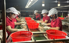 Tăng sức cạnh tranh cho doanh nghiệp Việt