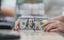 Những yếu tố ảnh hưởng tới tỷ giá USD năm 2026