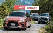 Mỗi ngày người Việt chốt 6 chiếc Lexus trong năm qua, đẩy doanh số hãng tại Việt Nam lần đầu vượt mốc 15.000
