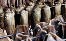 Một 'mỏ vàng' của Việt Nam hốt bạc từ Tây sang Đông: thu về hơn 2 tỷ USD, cả thế giới nuôi nhưng chỉ nước ta tạo ra ngành công nghiệp