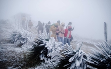 Miền Bắc đón đợt không khí lạnh cường độ mạnh, bỏ túi ngay 8 "thần dược" giữ ấm cơ thể cực tốt