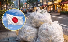 Bác lao công bất ngờ nhặt được hơn 2,9 tỷ đồng trong túi rác