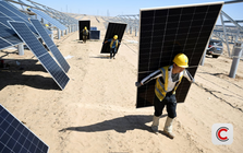 Lỗ tới 38 tỷ USD chỉ vì 2 chữ đơn giản: Chuyện thật như đùa của ngành điện mặt trời Trung Quốc