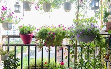 Những ý tưởng thú vị trang trí ban công đón Tết