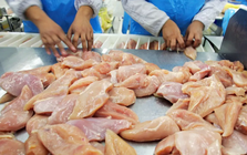 Mỹ thu hồi thịt gà tại 7 tiểu bang do nghi ngờ nhiễm khuẩn listeria