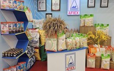 Lên HoSE, AFIEX báo lãi tăng mạnh trong năm 2025