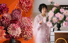 Đừng mải mê lan hồ điệp, cúc "khổng lồ" mới là chân ái: Bí kíp chăm cúc nở bừng, đẹp quên lối về Tết này