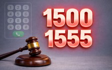 Hai số dịch vụ viễn thông 1500 và 1555 được đấu giá 1,02 tỷ đồng mỗi số