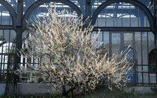 Tin vui cho hàng triệu người đi Sa Pa thời gian này