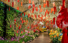 Đón Tết sớm tại một địa điểm ngập hoa ngay trong lòng Hà Nội, ngỡ như đang cùng gia đình ăn bữa cơm tất niên