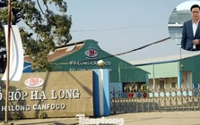 Công ty Đồ hộp Hạ Long bị 'tuýt còi'