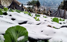 Không phải người cao tuổi, đây mới là nhóm người phải chịu rủi ro âm thầm khi trời rét đậm, rét hại