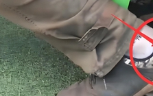 5 năm trôi qua, bức ảnh họp phụ huynh này vẫn gây tranh cãi