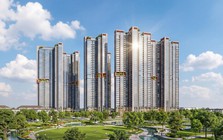 Khám phá hệ tiện ích "All-in-One" chuẩn resort tại tổ hợp căn hộ cao cấp Alumi