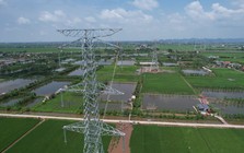 Việt Nam có một lĩnh vực đứng đầu ASEAN