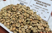 Giá cà phê hôm nay 24-1: Quay lại đà tăng 3 con số với Robusta