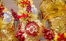 Dừa Tết độc lạ: Từ dát vàng 24K đến bonsai ngựa ‘thiên thần’