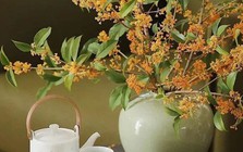 9/10 gia đình giàu lên theo năm tháng đều có chung 1 điểm: Trong nhà luôn có 1 trong 3 loại cây này