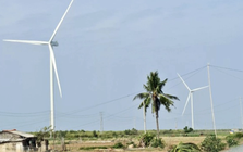 Nhiều doanh nghiệp muốn đầu tư hàng loạt dự án điện gió ở Cần Thơ