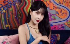 Lưu Hương Giang đáp trả khi bị mỉa mai nhan sắc