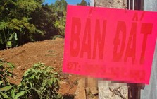 LẰN RANH: Vào tù nếu xù tiền cọc!