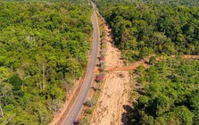 “Anh cả” siêu dự án đại lộ ven sông Hồng 855.000 tỷ đồng được chấp thuận là nhà đầu tư đề xuất tuyến đường xuyên rừng 13km tại Đồng Nai