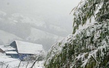 Ngoài mặc đồ giữ ấm tốt, bác sĩ nói có 2 thứ cần đảm bảo để tạo lớp “áo giáp mềm” cho cơ thể: Không sợ đột quỵ, hạ đường huyết!