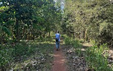 Chấp thuận nhà đầu tư đề xuất dự án đường kết nối từ cầu Mã Đà với Vành đai 4 TPHCM