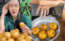 Mác cọt muối lại "làm tình làm tội" cư dân mạng: Nhìn thôi đã muốn "chảy nước miếng"!