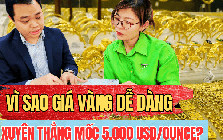 Chuyên gia lý giải đà tăng rất nhanh của giá vàng, giá bạc