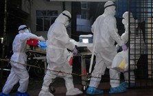 Virus Nipah bùng phát ở Ấn Độ, TP.HCM ra thông báo mới