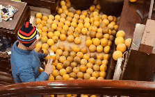 Trung bình nhà miền Bắc mỗi dịp Tết: Càng xem càng dejavu, cảnh tượng này trong mơ cũng vẫn ám ảnh