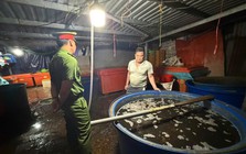 Rùng mình lời khai của chủ vựa ngâm 3.000 tấn thịt ốc bằng hóa chất công nghiệp