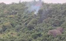 Rơi máy bay quân sự ở Đắk Lắk, phi công kịp thời nhảy dù thoát nạn